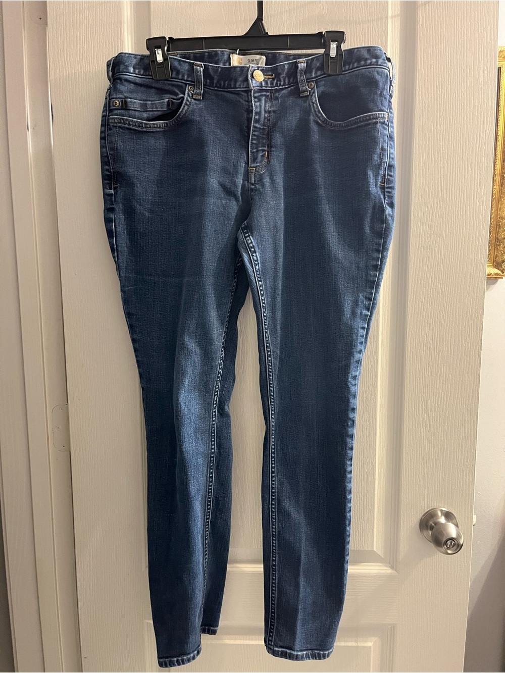 Carhartt Slim Fit Skinny Blue Denim Jeans for Women, Button Zip, Logo, 5-Pocket